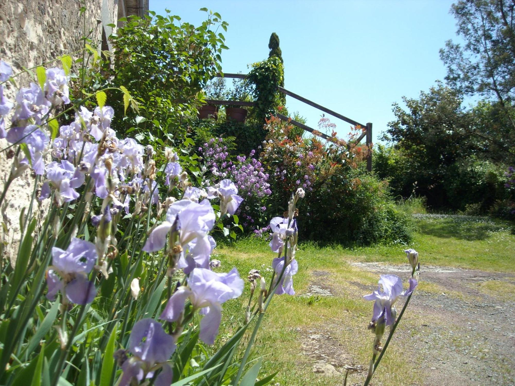 La Tour Des Laudes Bed & Breakfast Breuil-Barret ภายนอก รูปภาพ